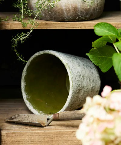 Decor